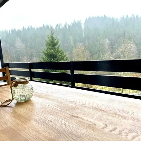 Apartment With Pool Sauna, Skiing *